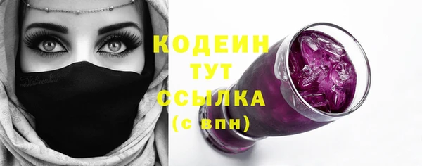 хмурый Бронницы