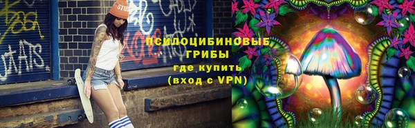 хмурый Бронницы