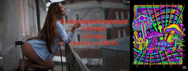 хмурый Бронницы