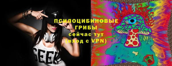 хмурый Бронницы