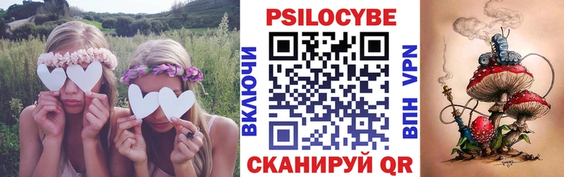 наркошоп  Шебекино  Псилоцибиновые грибы Psilocybine cubensis 
